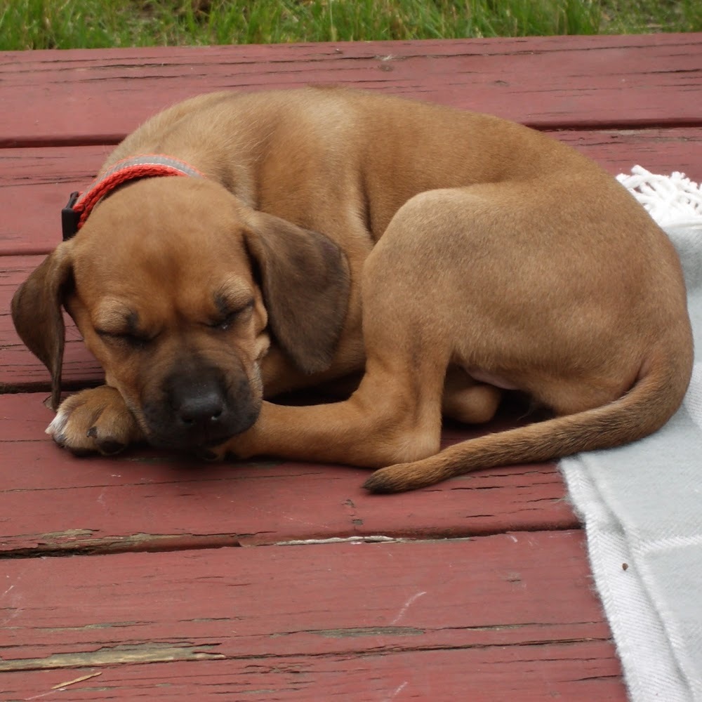 Meet your Posher, Jordyn